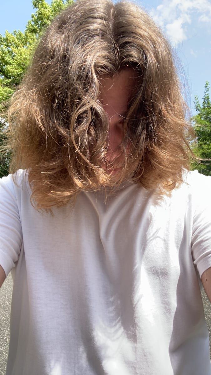 Profil de Tancrède